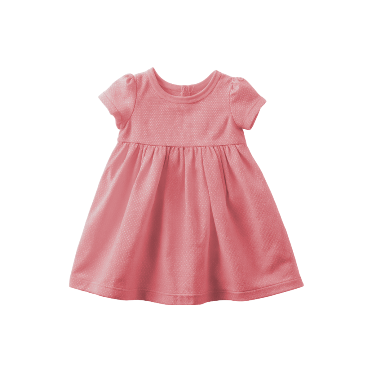 Scelerisque Commodo - Image 5